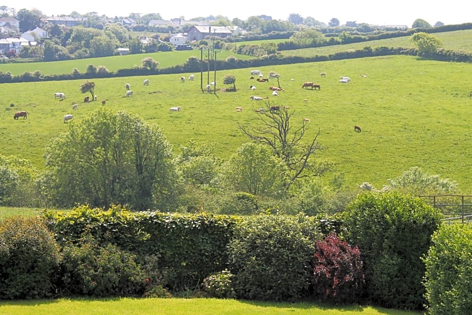 Trevanger Farm Bed and Breakfast