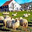 Hotel,Herberg & Appartementen de Smidse
