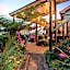 Tamborine Mountain Bed and Breakfast
