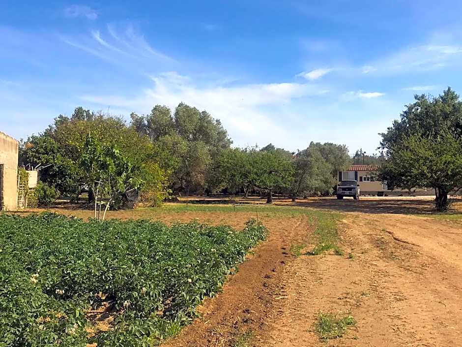 The Farm Tiny House - Tiny Casa