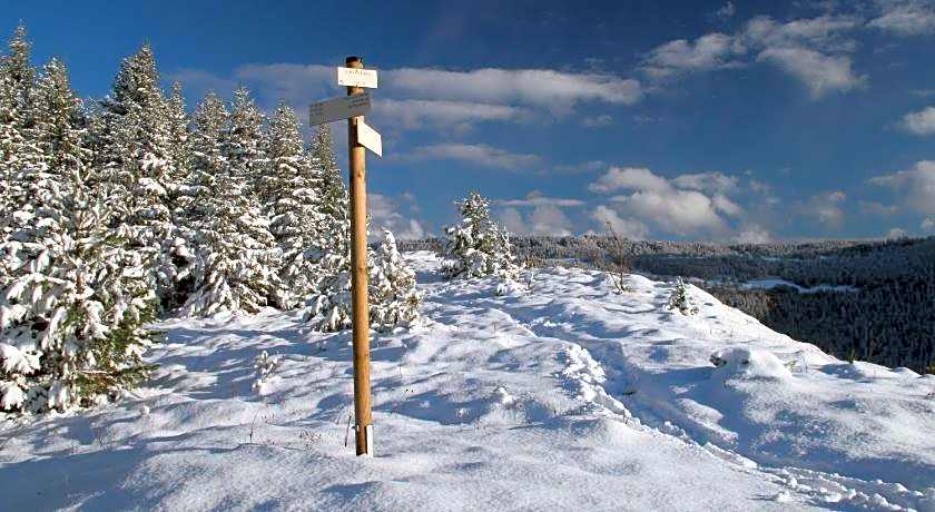 Au Coeur du Lapidaire