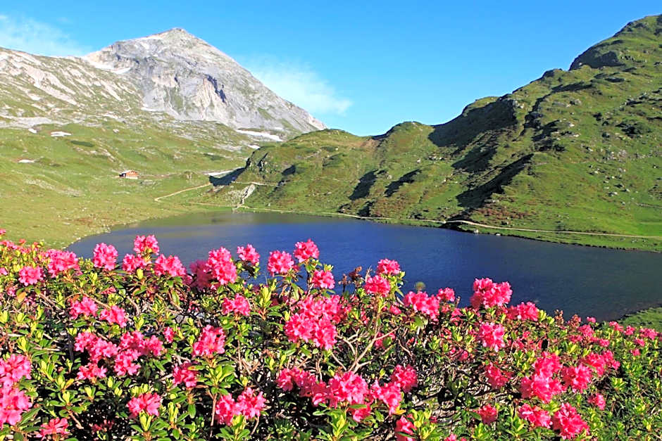 Hotel Zum Jungen Römer