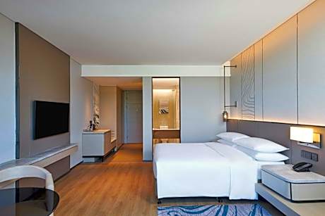 Premier King Room with City View