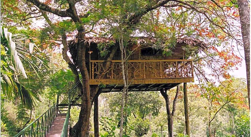 Tranquil Resort - A BluSalzz Collection