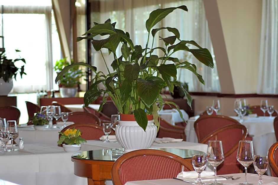 Hotel Gama