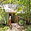Hunchy Hideaway