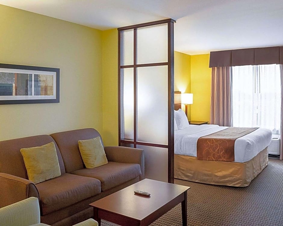 Comfort Suites Harvey - New Orleans West Bank