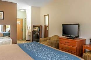 Comfort Inn Downtown - University Area