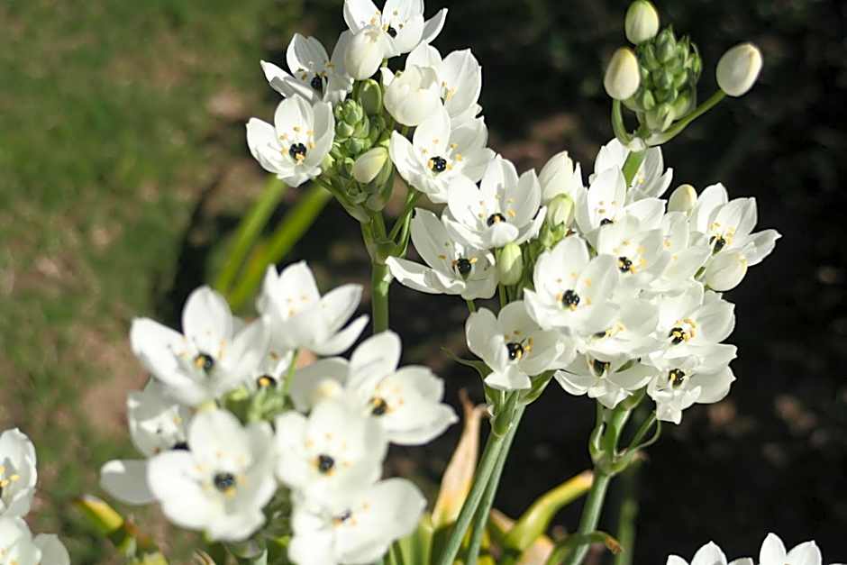 Verdemare Sardegna Uno