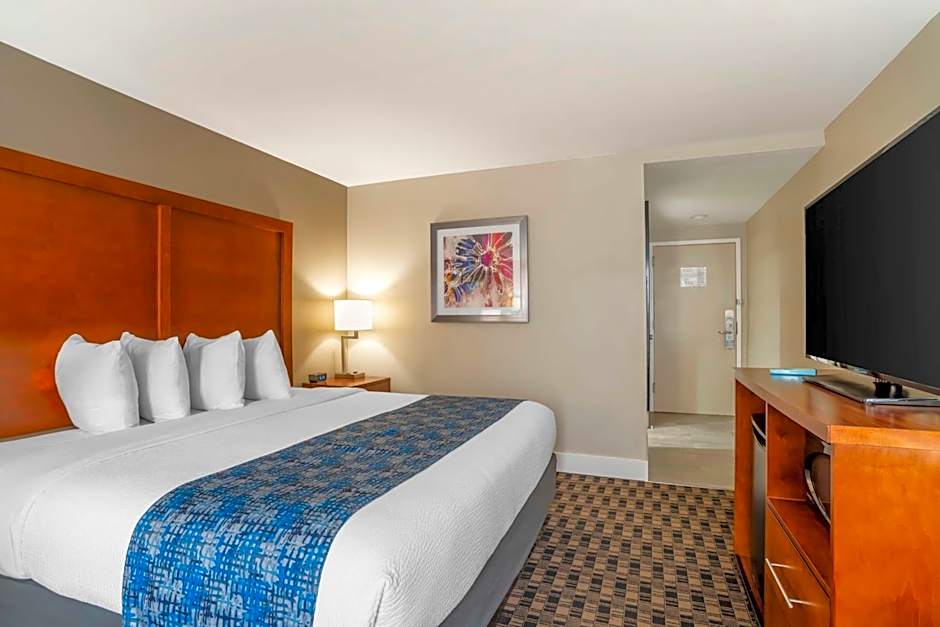 Best Western Plus Greenville I-385 Inn & Suites