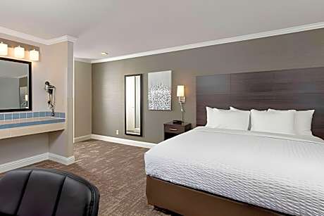 1 King Bed Nonsmoking