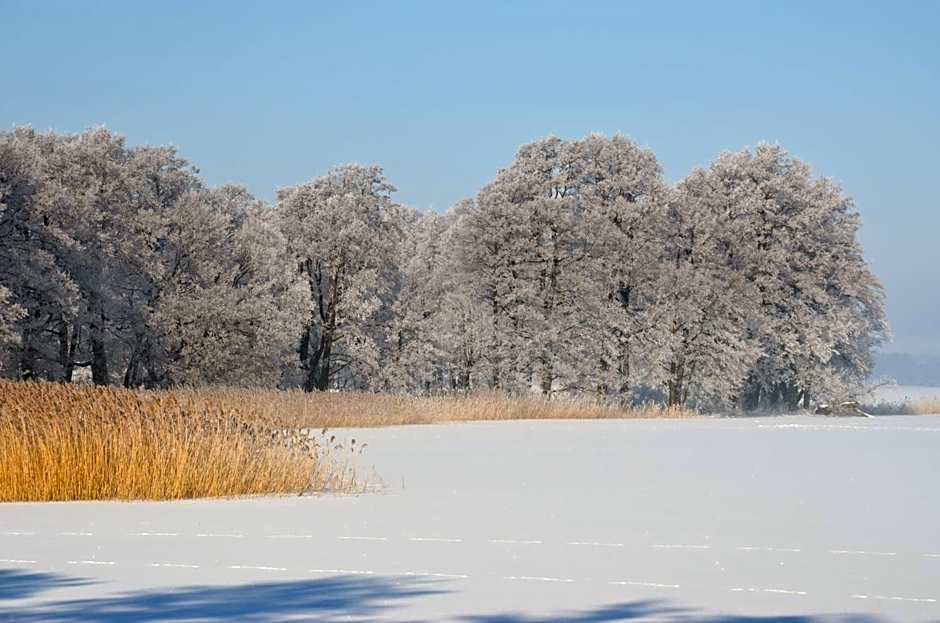 Stara Szkoła w Harszu