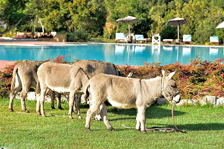 ECO HOTEL ORLANDO Sardegna