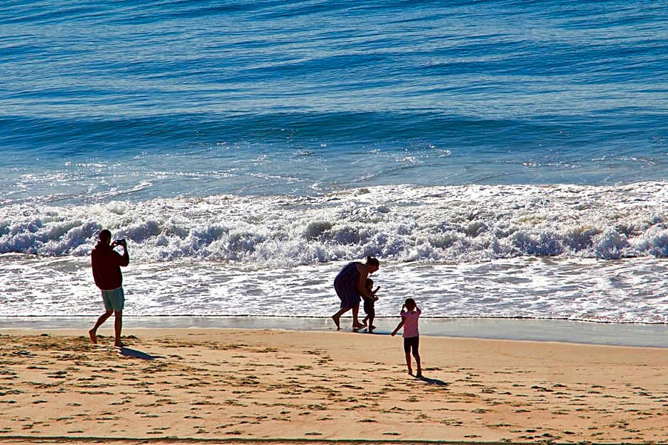 Albatross North Apartments