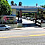 King Lodge Motel