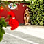 Il Mondo B&B