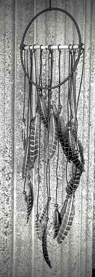 HIGOS CHUMBOS, CASA RURAL COMPARTIDO