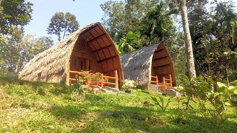 Orangutan Bungalow