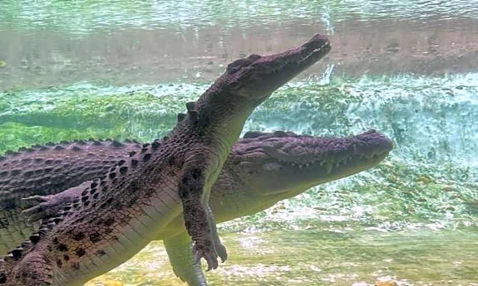 Holiday Inn Express & Suites Palm Coast - I-95