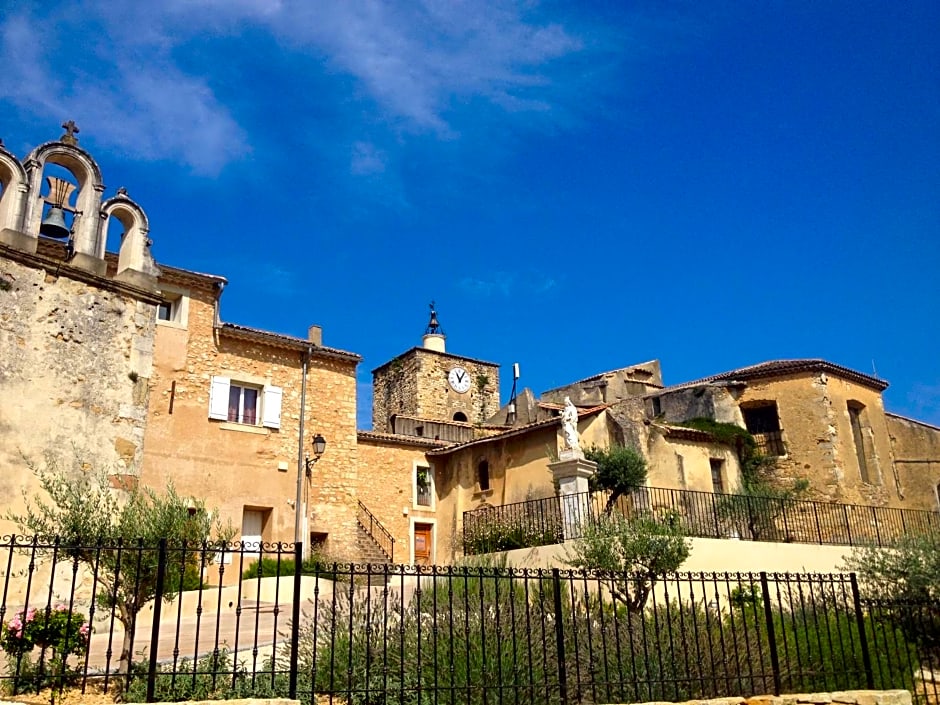 Santolines en Provence