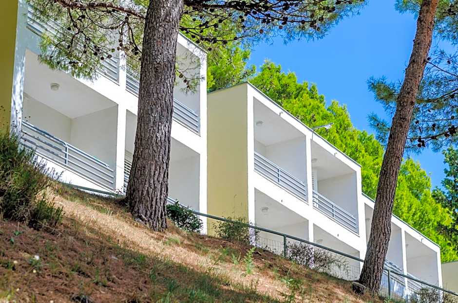 Sagitta All inclusive light