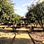 Estancia Los Amigos Valle de Guadalupe