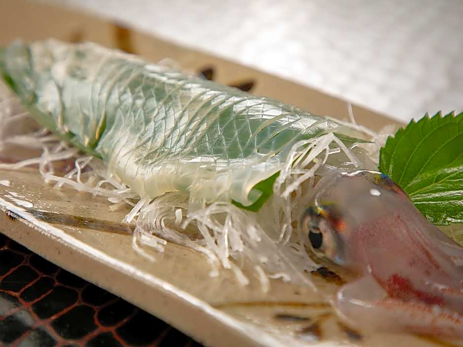 Mizuno Ryokan