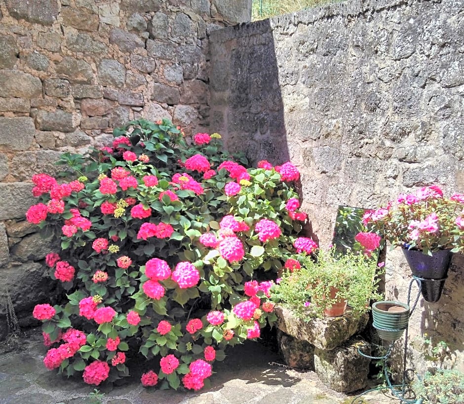Maison d'Hôtes "La Pierre Pointue"