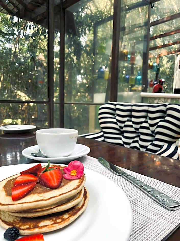 Hotel La Casa de los Árboles Immersive Experience