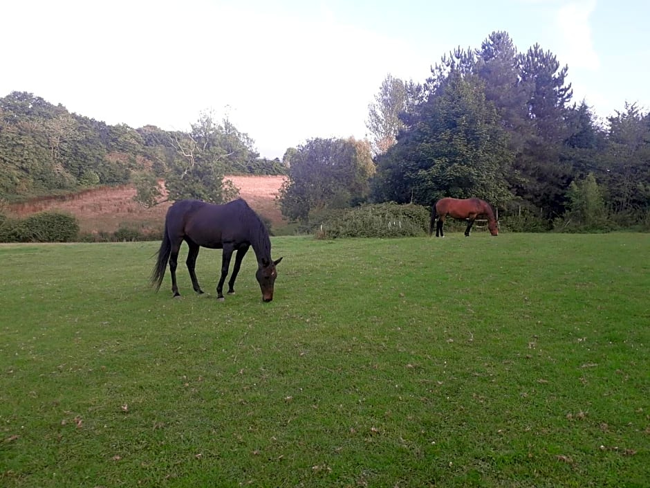 Moaps Farm B&B support small business, welcome, check in from 5 pm