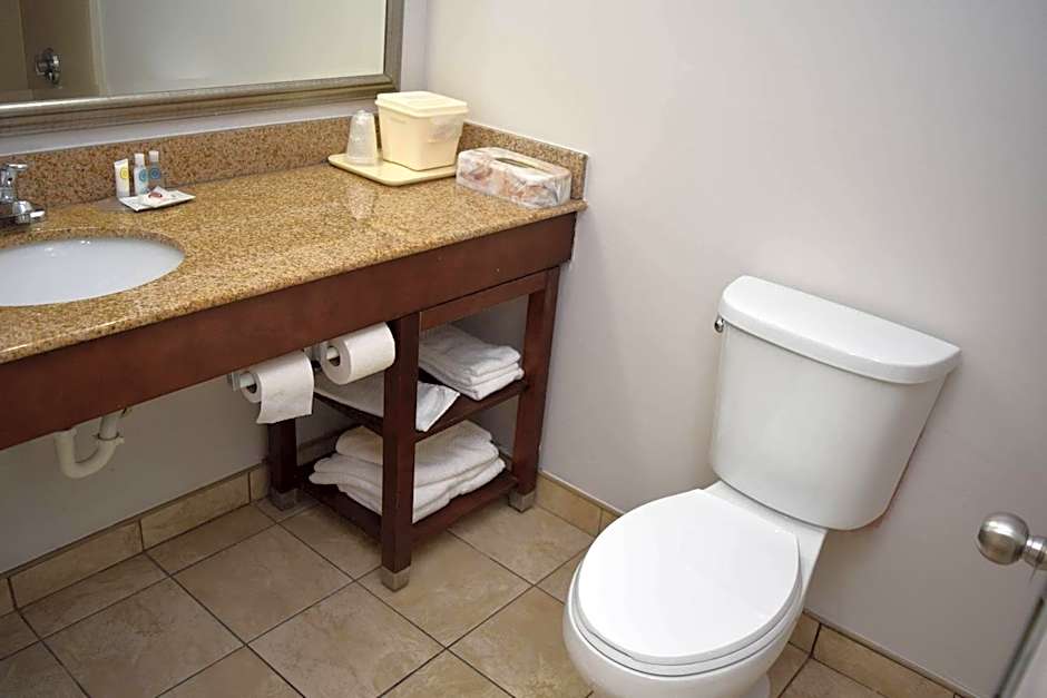 Comfort Inn & Suites Syracuse-Carrier Circle