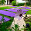 Hotel Dos Patios, Holistico Boutique & SPA