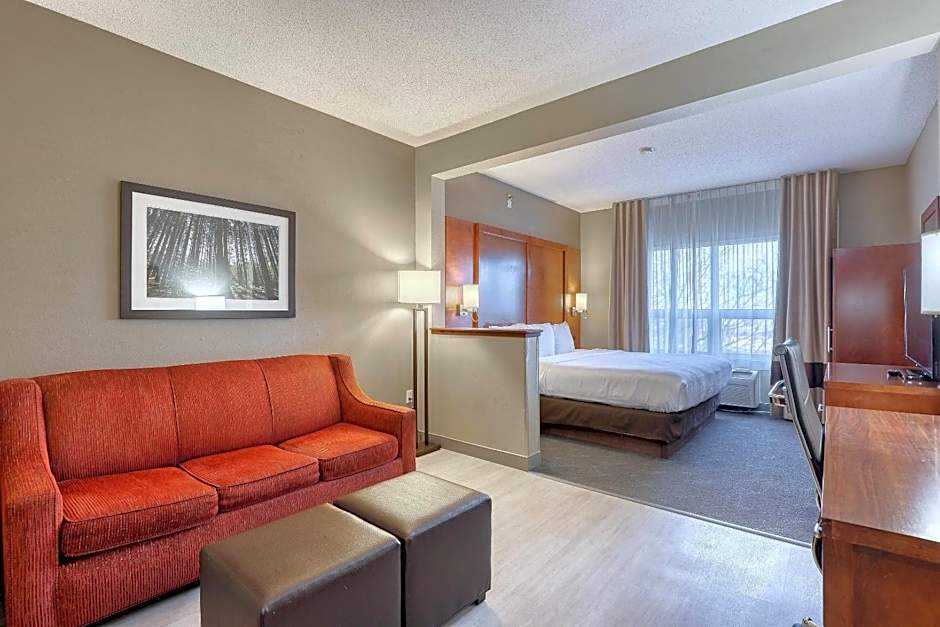 Comfort Suites Madison West - Middleton