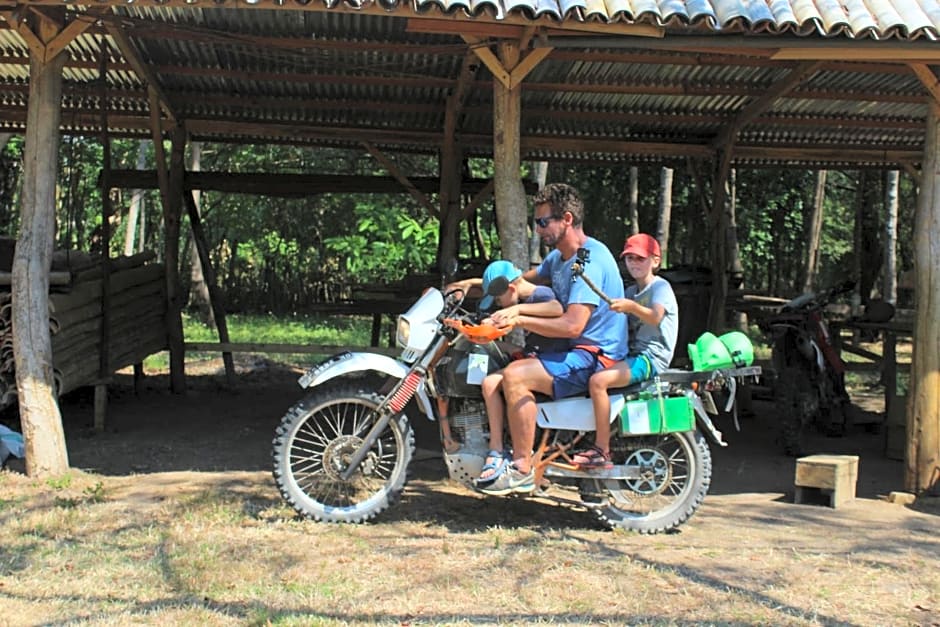 4 Pohon - Les 4 Arbres