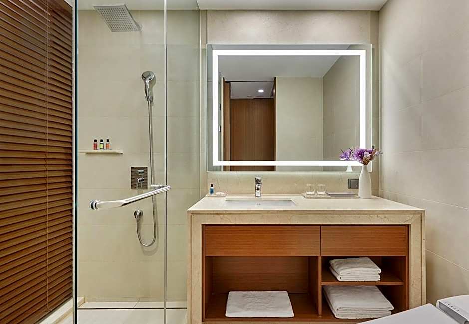 HOTEL SKYPARK CENTRAL SEOUL PANGYO