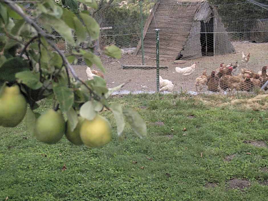 Hotel Rural & Spa Las Nubes