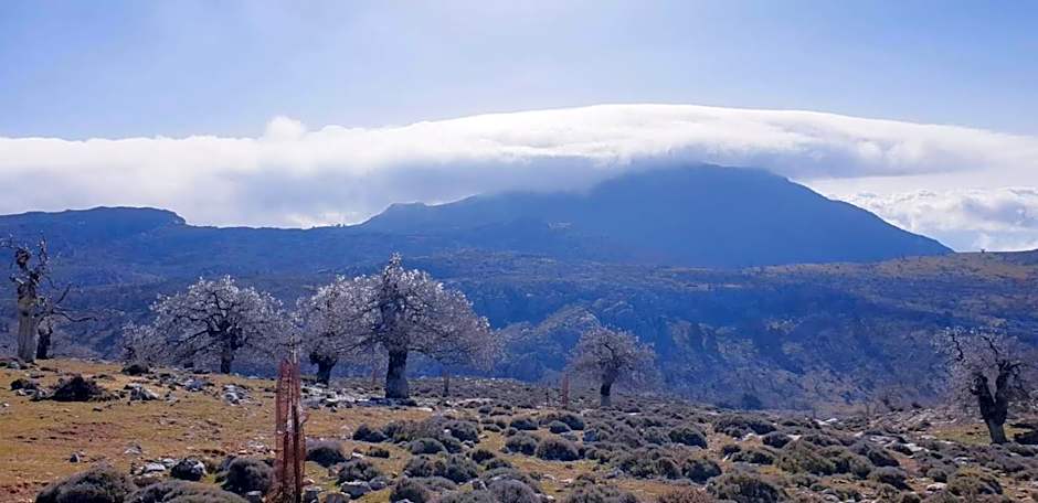 Hotel Sierra Hidalga