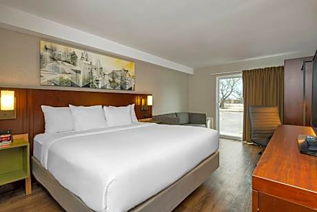 King Room - Non Smoking/Ground floor/Pet Friendly