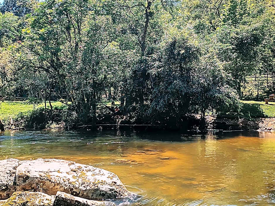 Suíte com cachoeira no quintal