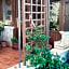 Villa Giulia B&B