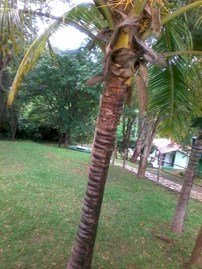 Pousada Vila Cintra