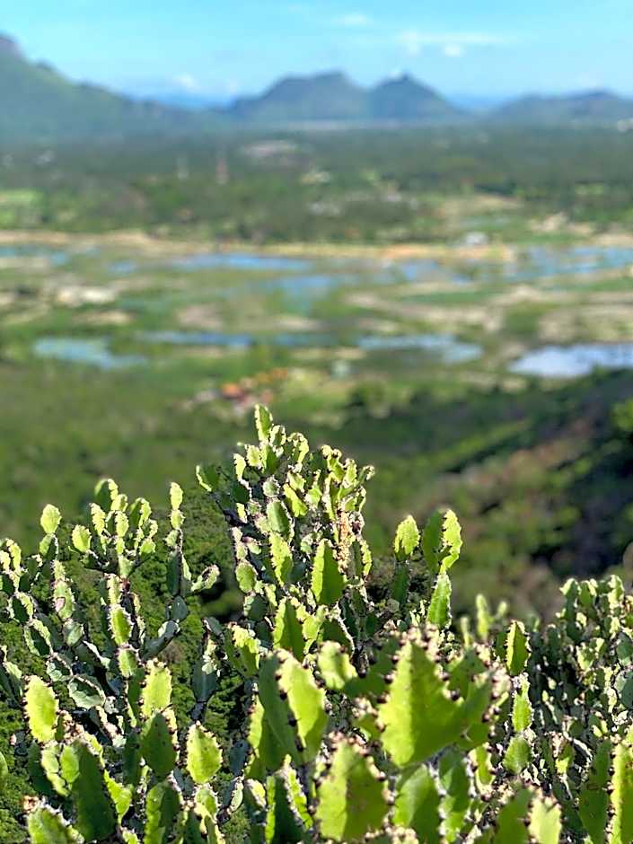 Jing Jo Boutique Bungalow