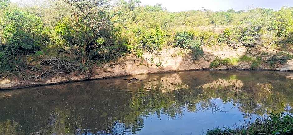 Fig Tree Camp - Maasai Mara