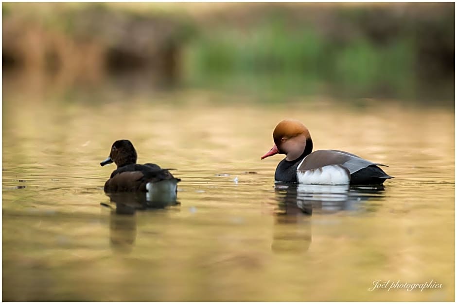 Chambre d'hôtes du Moulin de Landonvillers