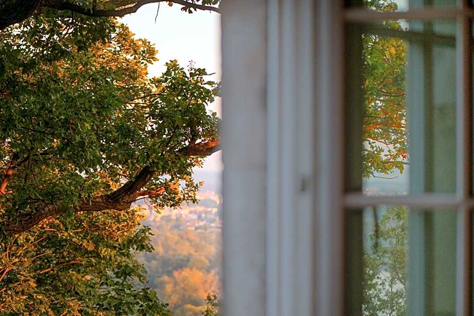 Forest Hotel