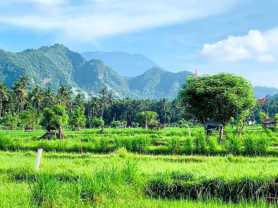 Ocean Suite By A&J - Exceptional Beachfront Apartment - Candidasa