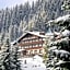 Hotel Des Alpes