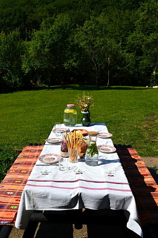 Na Okić - a private forest oasis