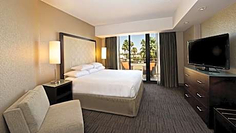 King Suite with Accessible Tub - Disability Access