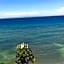 Babylon Oslob Coast Guesthouse